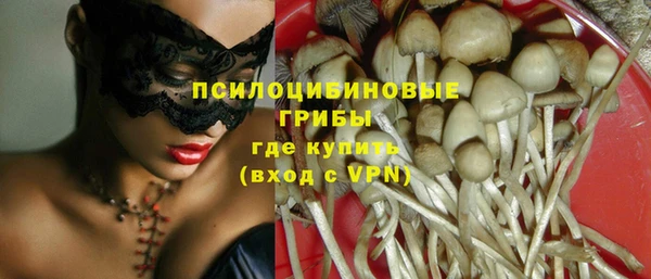 гашик Баксан